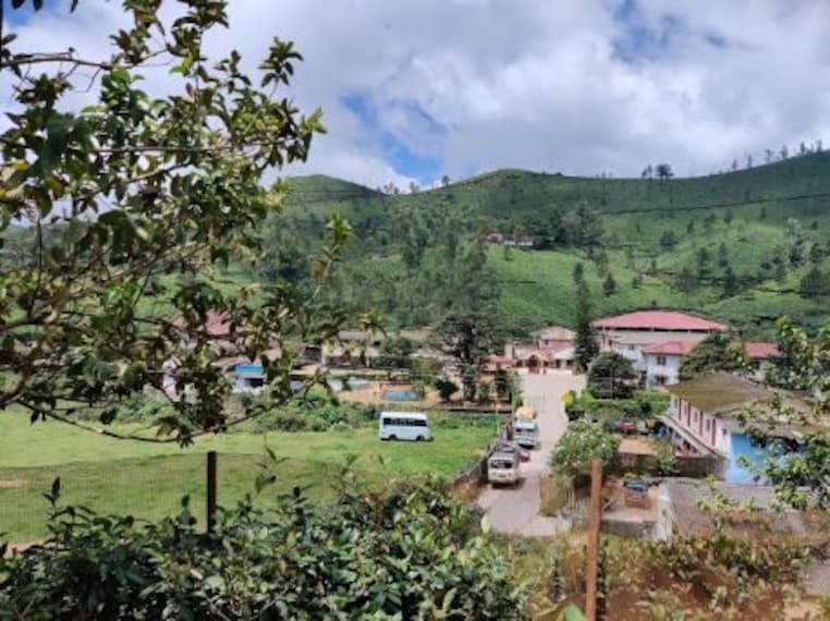 visit the tea museum_4